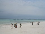   : Zanzibar 2011